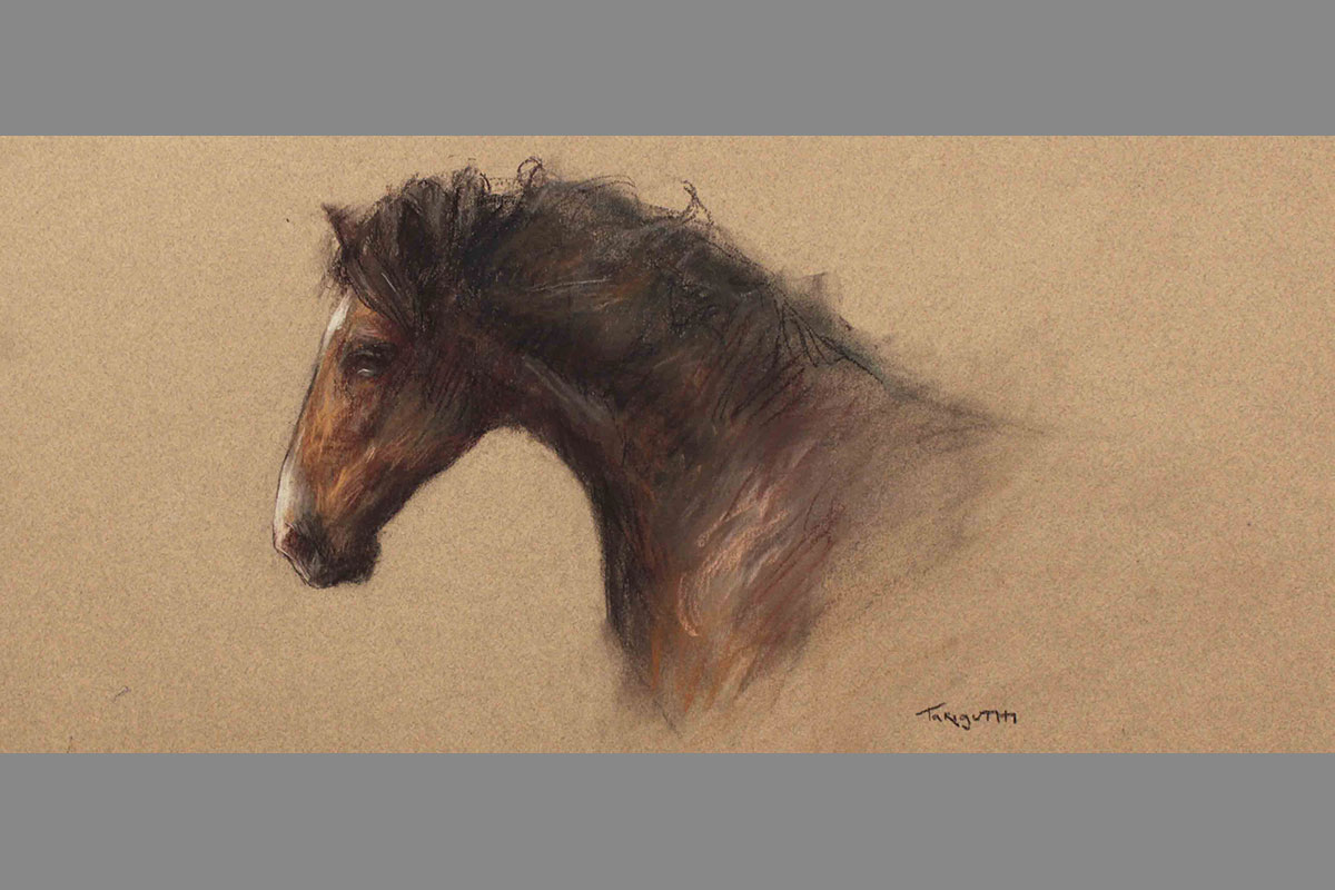 Cavalo, em pastel colorido